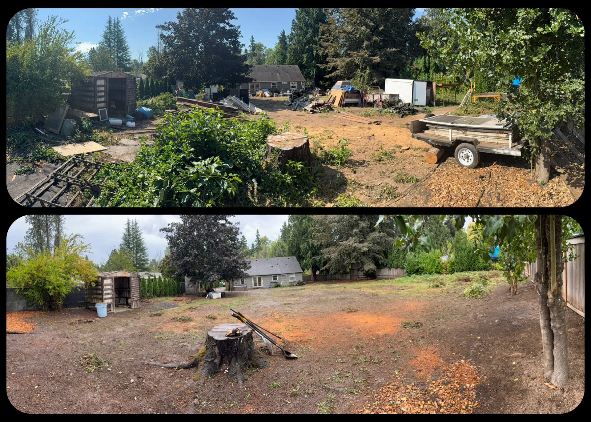 Before and after hauling project 2 of 6