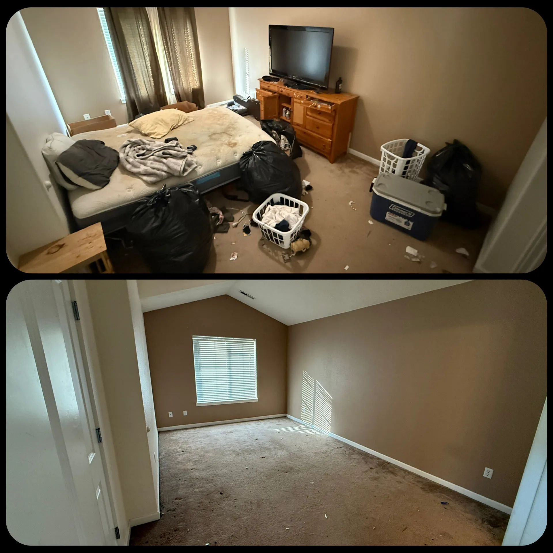 Before and after hauling project 4 of 6