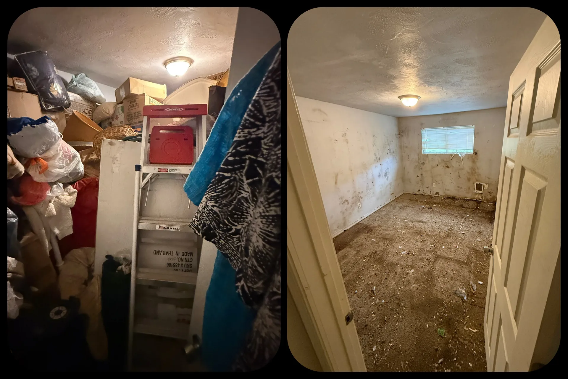 Before and after hauling project 6 of 6